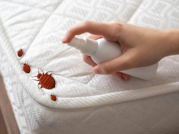 Reliable Franklin Lakes, NJ Pest control Solutions